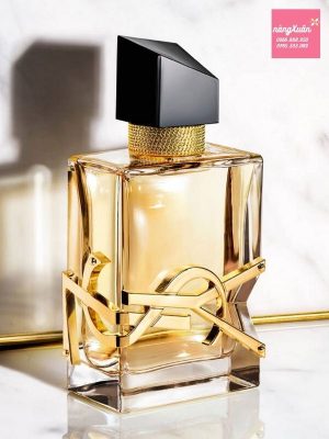 Nước hoa YSL nam 50ml 